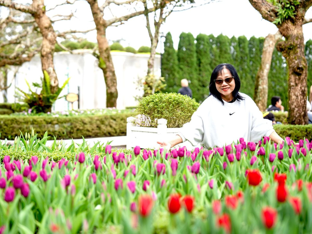 Du khách sẽ có được những bức hình mùa đông đẹp khi check in tại khu vườn hoa ở Sun World Ba Na Hills.