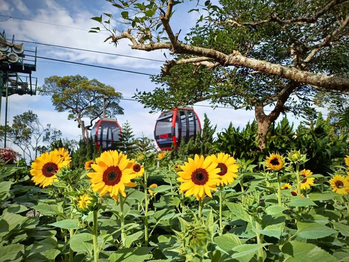 Với lịch trình 2 ngày 1 đêm, ngày đầu tiên có thể dành trọn cho Bà Nà Hills để tham quan, vui chơi và trải nghiệm các lễ hội trên đỉnh núi.
