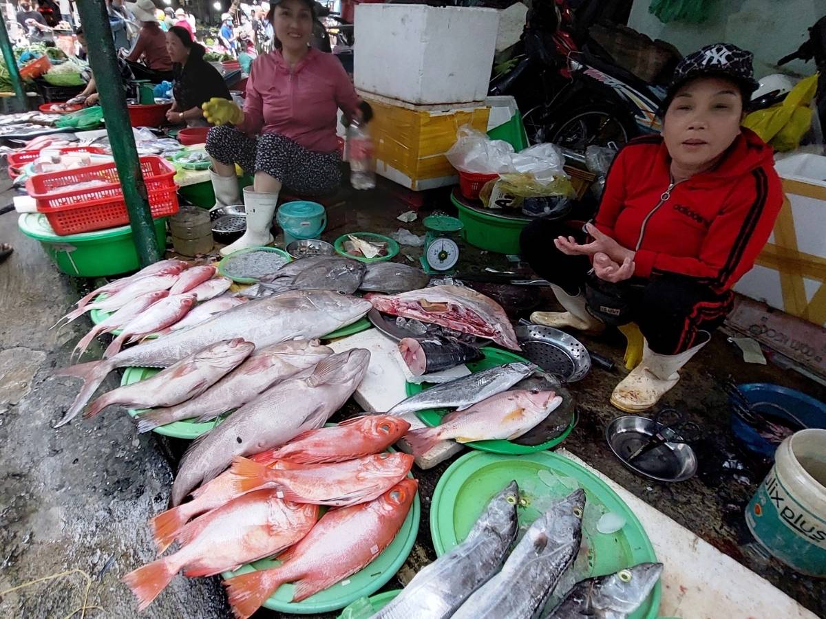 Hải sản được các tàu thuyền cập bến mỗi ngày tại bờ biển Mỹ Khê, cung cấp nguồn thực phẩm tươi ngon.