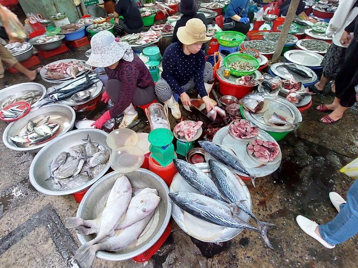 Nhờ đó mà các quán hải sản nổi tiếng Đà Nẵng luôn có nguồn thực phẩm tươi mới mỗi ngày.