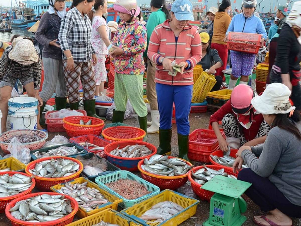 Chợ hải sản Thọ Quang nổi bật nhờ sự phong phú về các loại hải sản.