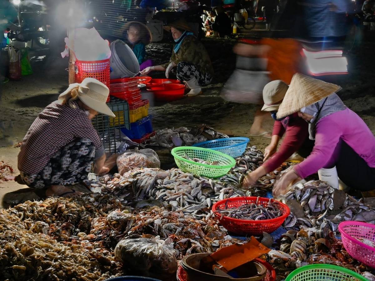 Hoạt động tại chợ hải sản Thọ Quang thường bắt đầu từ nửa đêm khi những công đoạn chuẩn bị cho tàu thuyền trở về.