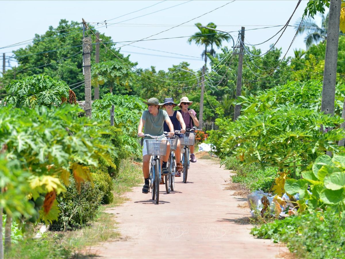 Du khách có thể dễ dàng tìm đường đến làng rau Trà Quế và thoải mái tham quan làng rau bằng xe đạp.