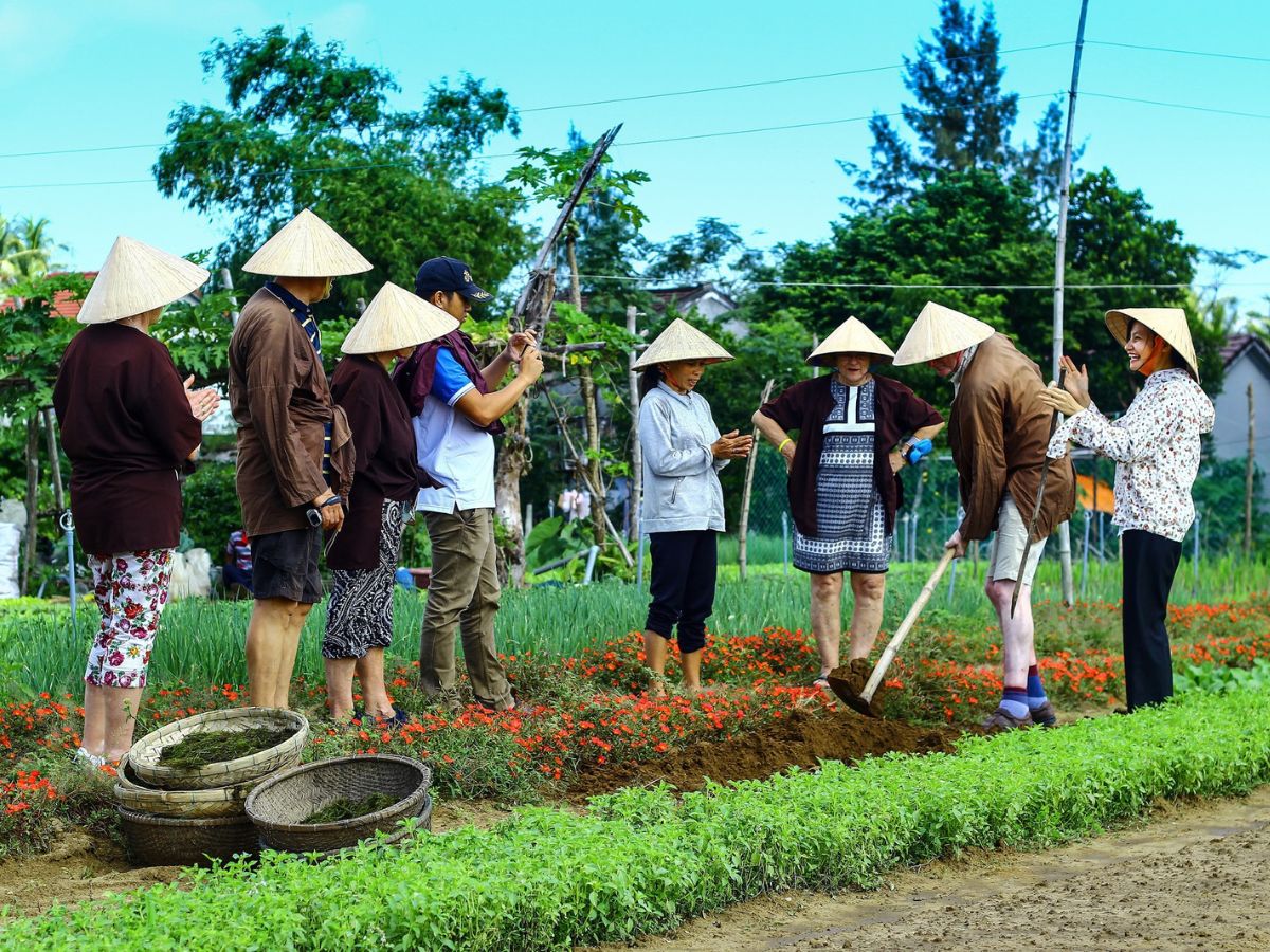 Du khách được trải nghiệm các hoạt động làm nông khi ghé làng rau Trà Quế.