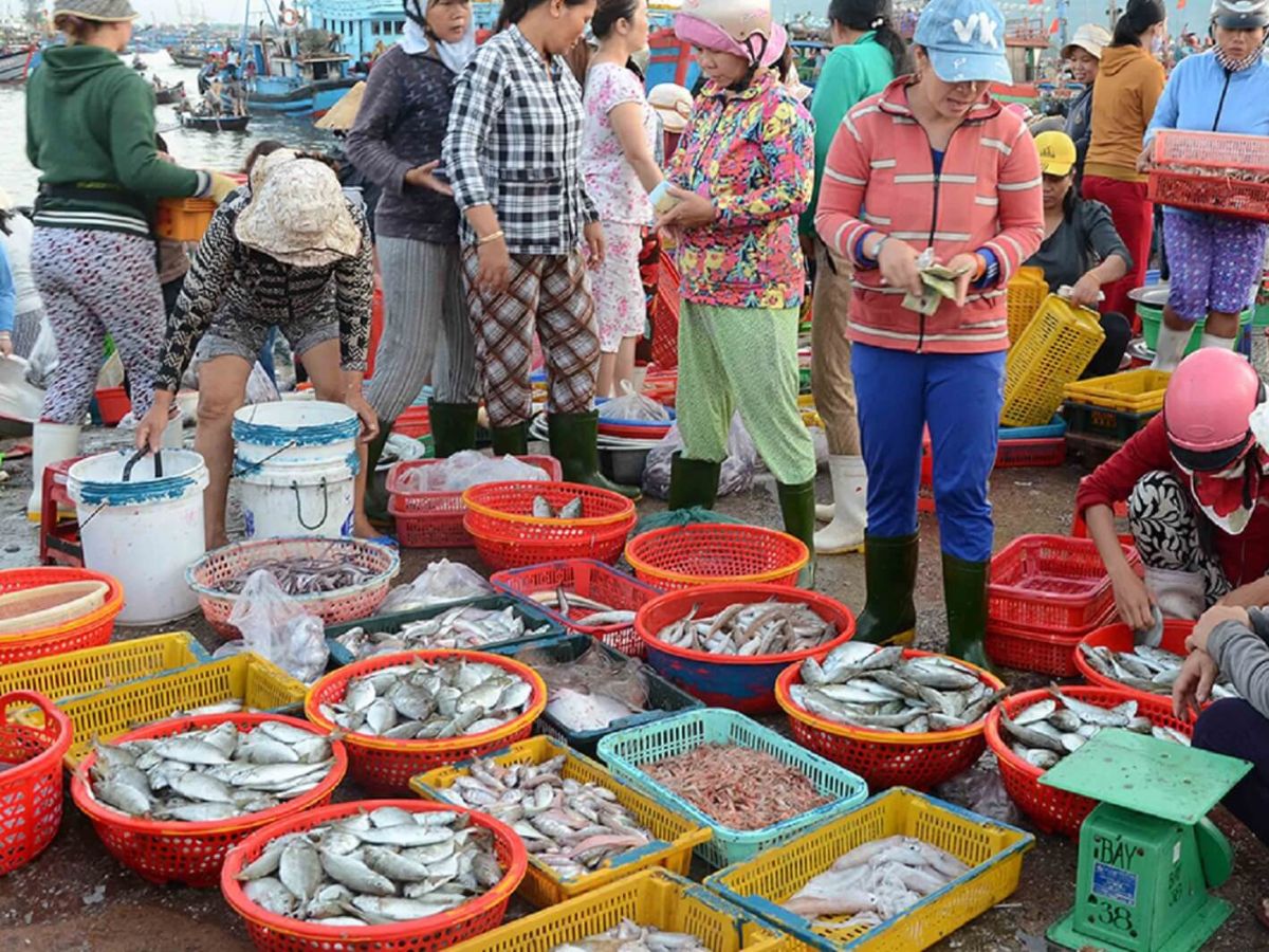 Hải sản tươi sống ở Đà Nẵng được cập bến mỗi ngày Hải sản tươi sống ở Đà Nẵng được cập bến mỗi ngày