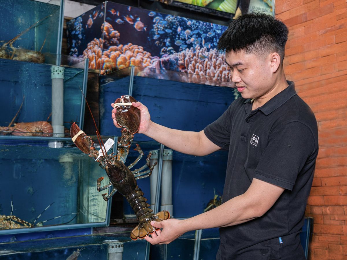 Thực khách có thể chọn hải sản tươi sống ngay tại quán để đảm bảo độ tươi ngon Thực khách có thể chọn hải sản tươi sống ngay tại quán để đảm bảo độ tươi ngon