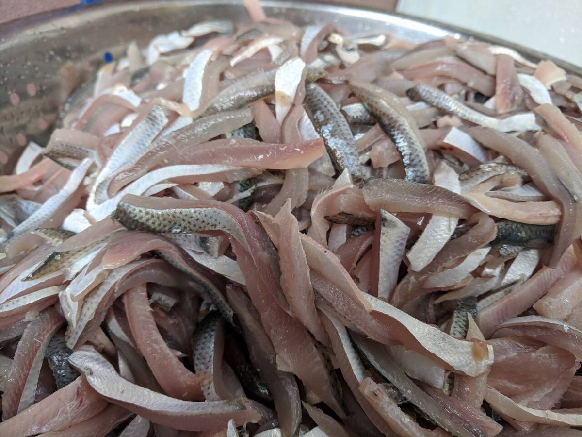 Cá trích có thịt ngọt, săn chắc thường là nguyên liệu chính của món gỏi cá Nam Ô Cá trích có thịt ngọt, săn chắc thường là nguyên liệu chính của món gỏi cá Nam Ô