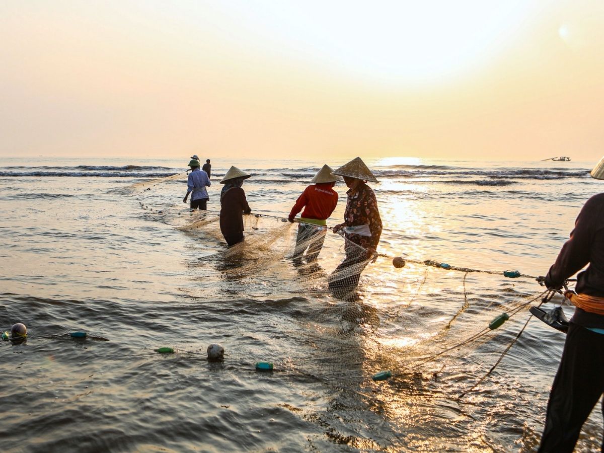 Hải sản tại Đà Nẵng rất đa dạng lựa chọn phổ biến như cá,ghẹ, tôm, cua, ốc