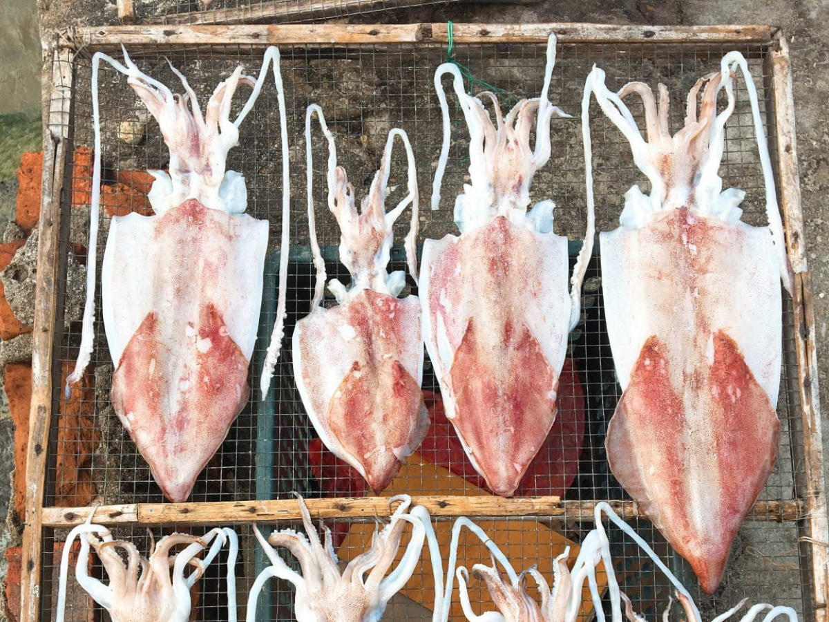 Mực một nắng có giá biến động theo kích thước khác nhau