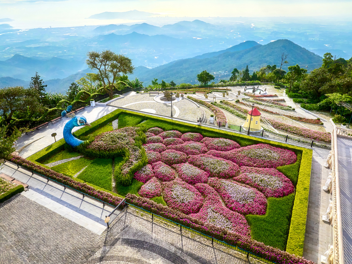 Vườn hoa Le Jardin D’Amour rực rỡ dưới ánh nắng vàng