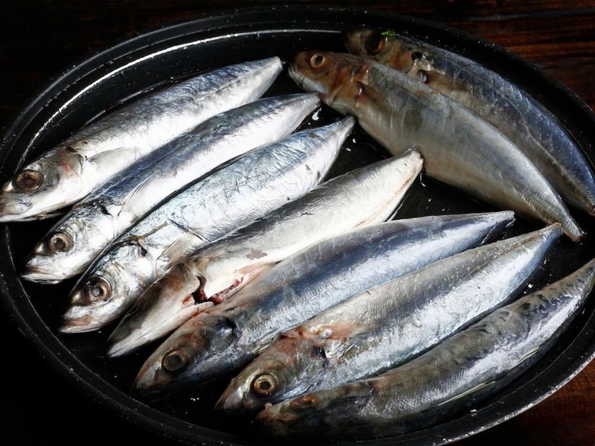 Cá nục sau khi được làm sạch sẽ được ướp với tỏi, tiêu, muối, hành lá cùng một chút ớt để tăng thêm hương vị