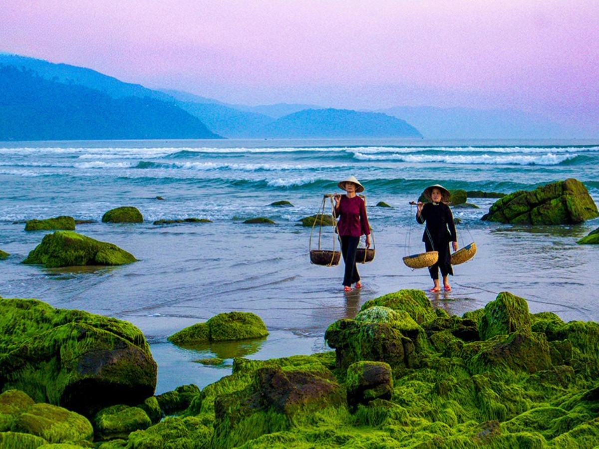 Rạn Nam Ô được ví như “viên ngọc xanh” của Đà Nẵng Rạn Nam Ô được ví như “viên ngọc xanh” của Đà Nẵng