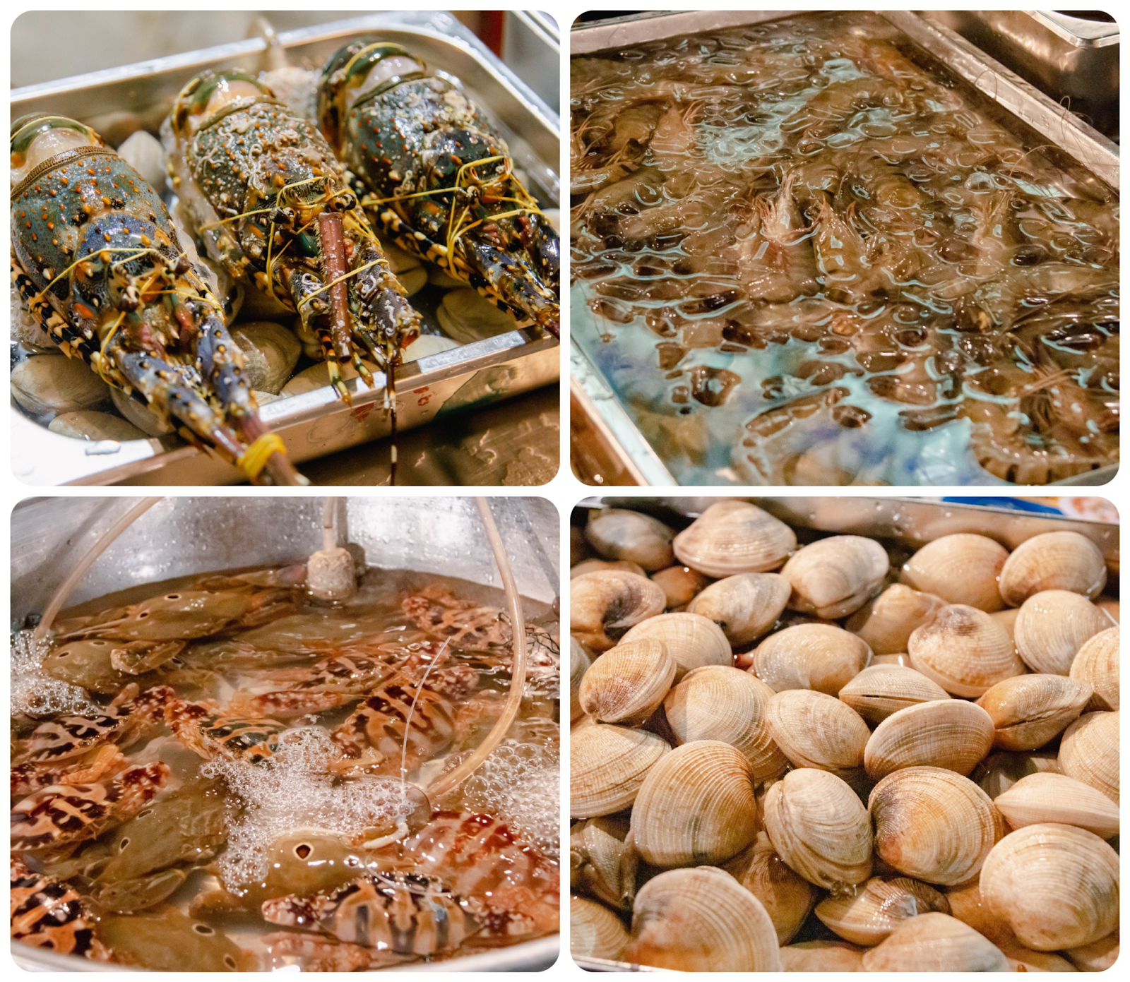 Thưởng thức hải sản tươi mới được chế biến tại chỗ sẽ là những trải nghiệm khó quên với mọi thực khách. 