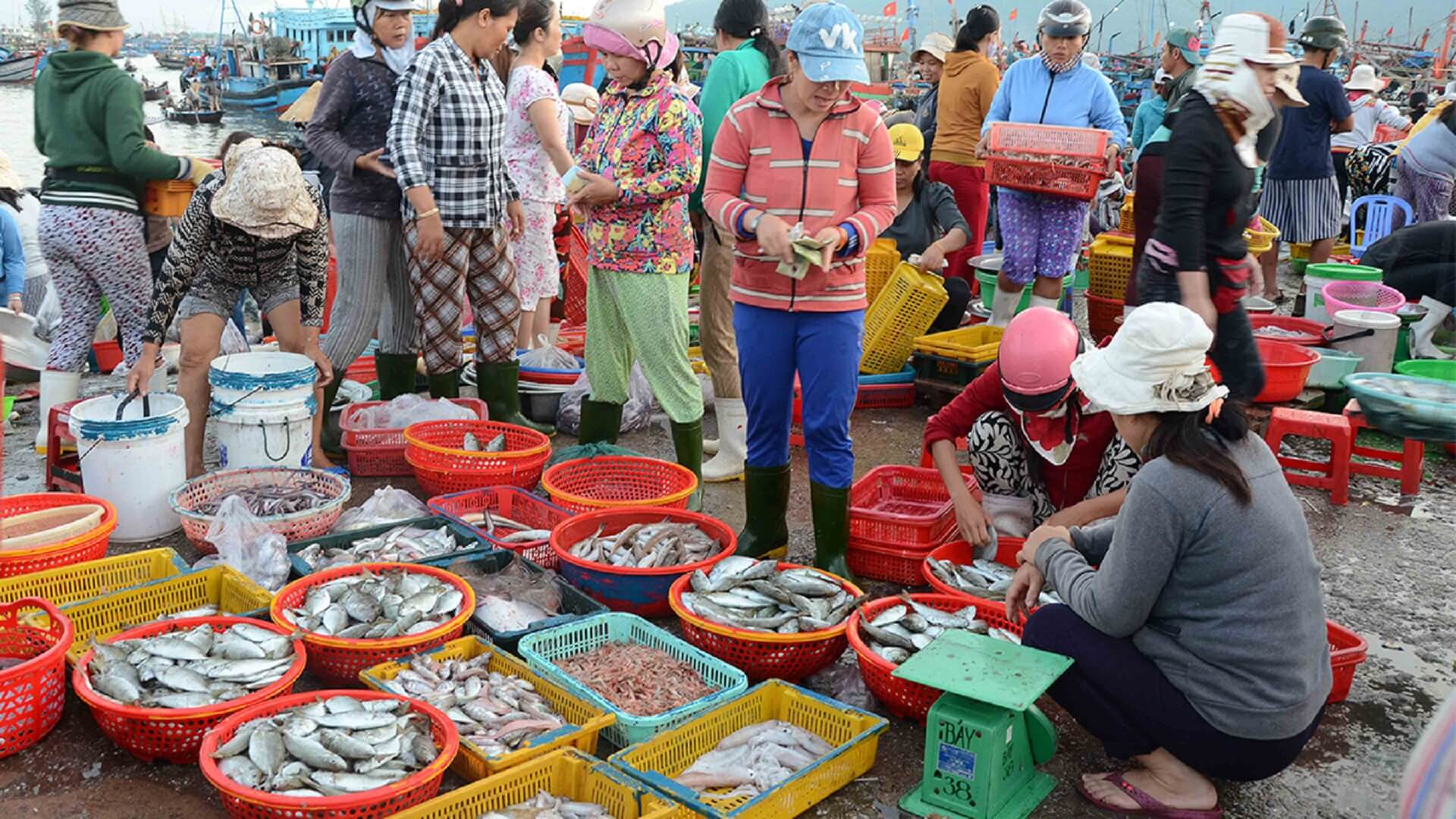 Chợ hải sản Nguyễn Tất Thành chủ yếu do ngư dân địa phương đánh bắt và bán ngay sau khi cập bờ.