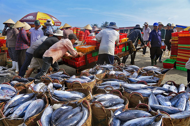 Du khách cần lưu ý tham khảo trước giá cả và quan sát độ tươi ngon của hải sản trước khi mua.