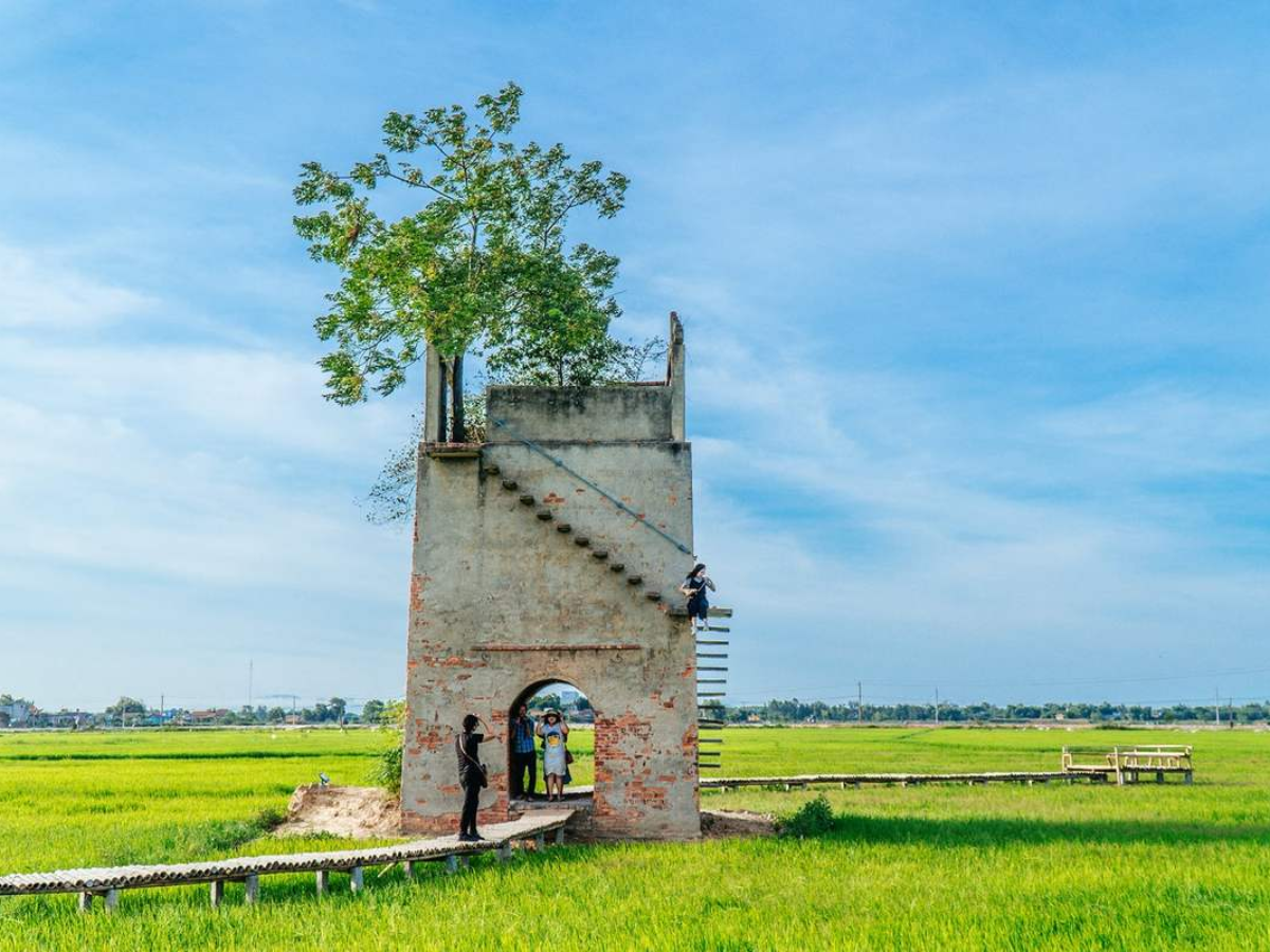 Lò gạch cũ nằm giữa cánh đồng lúa xanh mướt.